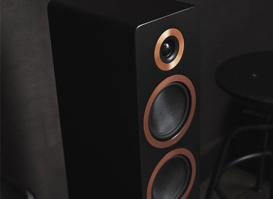 Argon Audio FORTE A55 MK2 - cecha 2